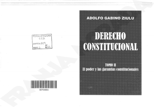 Derecho-Constitucional.-Ziulu-T-II