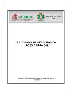 199774214-Programa-de-Perforacion-Carpa-5