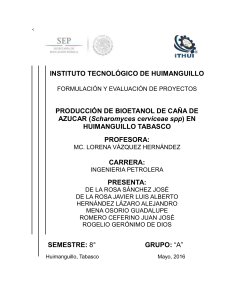 Proyecto Bioetanol (2)
