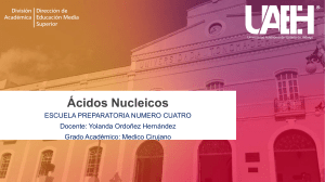 acidos-nucleicos