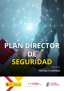 Plan Director de Seguridad