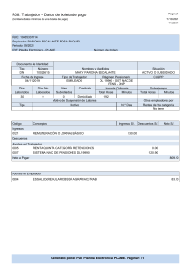 Ejemplo de Boleta de Pago -PDT PLAME 