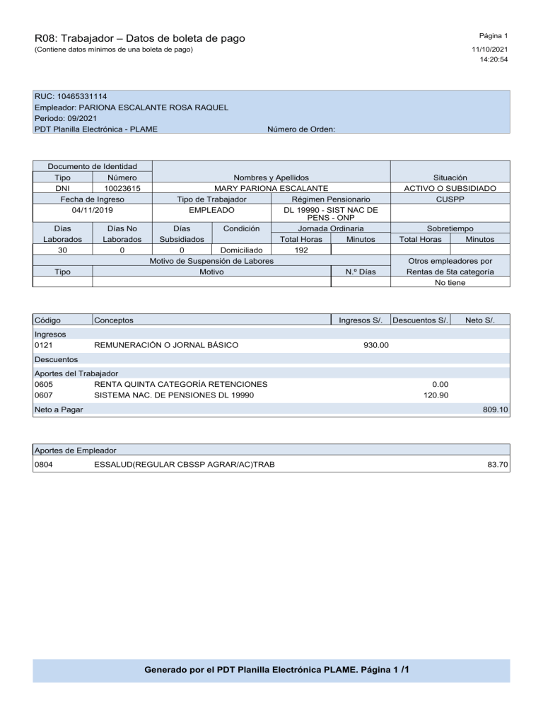 Ejemplo de Boleta de Pago PDT PLAME