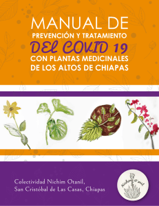 Manual herbolario covid altos de Chiapas