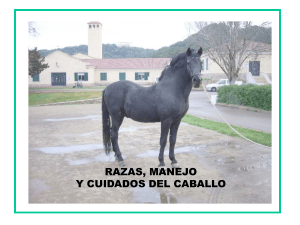 02. Razas, manejo y cuidados del caballo autor Remugants, Ramon Trias