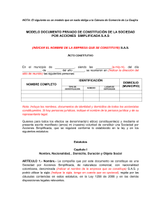 constitucion-sociedad-sas (1)