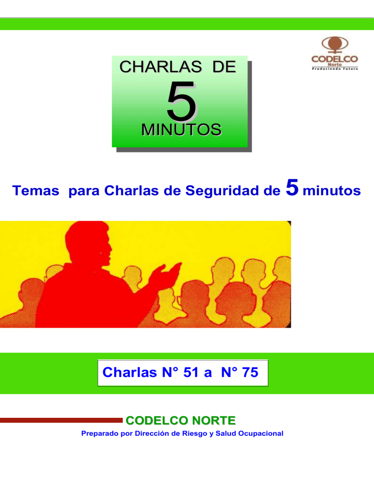 CHIJ SEGURIDAD