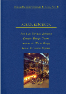 Monografías sobre Tecnología del Acero. Parte I ACERIA ELECTRICA  BERCIANO
