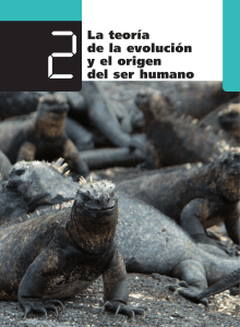 1. La teoria de la evolucion y el origen del ser humano