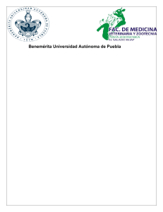 Benemérita Universidad Autónoma de Pueb15-convertido (2)