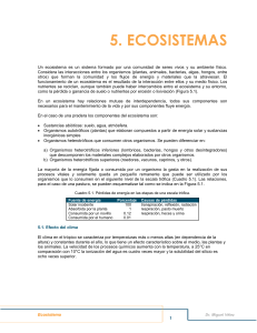 05 Ecosistema