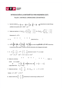 pdf-s01s1-taller-1-matrices-y-determinantes-pdf compress