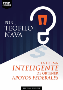 libro-forma-inteligente-de-obtener-apoyos-federales-2019-teofilo-nava