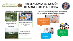 PREVENCIÓN A EXPOSICIÓN DE MANEJO DE PLAGUICIDAS