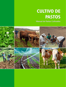 Manual Pastos Cultivos-Agrodimeza
