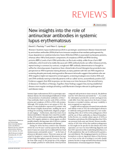 New insights into the role of antinuclear antibodies in systemic lupus erythematosus