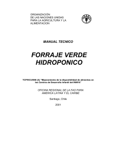 Manual-FVH