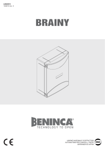 brainy manual