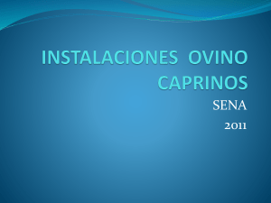 91078203-INSTALACIONES-OVINO-CAPRINOS