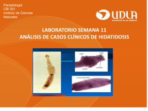 Laboratorio semana 11- HIDATIDOSIS Céstodos (RR)