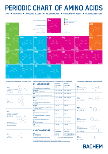 Periodic-Amino-Acids-Chart