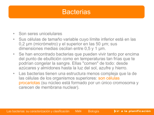 bacterias 4to salud y adolescencia. ciencia. biologia