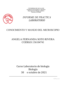 INFORMES LABORATORIO BIOLOGIA I