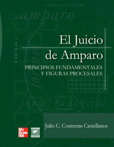 el juicio del amparo principios fundamentales y figuras procesales