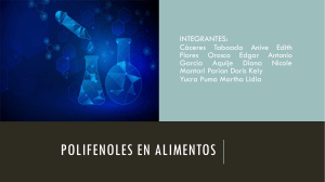EXPO-POLIFENOLES EN ALIMENTOS Grupo6