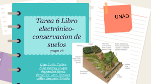 Plantilla libro electronico 03