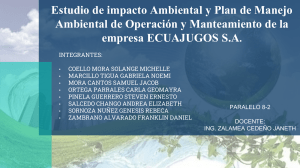 ESTUDIO DE IMPACTO AMBIENTAL-EXPOSICION 
