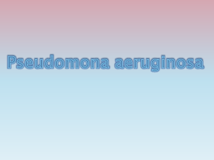 pseudomonaaeruginosa-130430123002-phpapp02