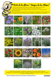 GP lista-flores-amigas-de-las-abejas
