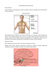 Generalidades de Neuroanatomía