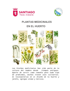 Plantas-Medicinales-en-el-Huerto