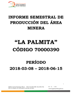 MINA LA PALMITA INFORME PRODUCCION PRIMER SEMESTRE 2018