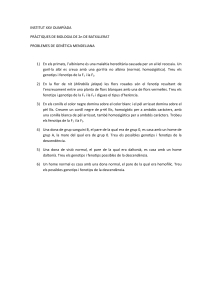 Biologia 2n Batxillerat. Problemes de genètica