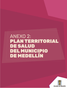 Anexo 2  Plan territorial Salud