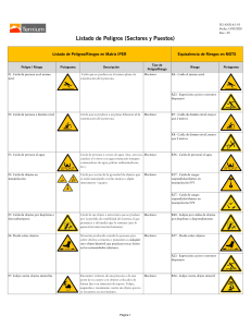 N2- ANX-6.1-01-Listado de peligros (Sectores y puestos) R0 (1)