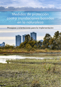 Brochure Implementing nature-based flood protection ESP