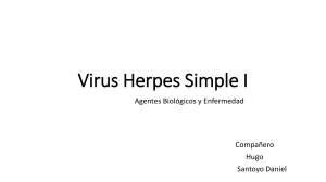 Virus Herpes Simple I