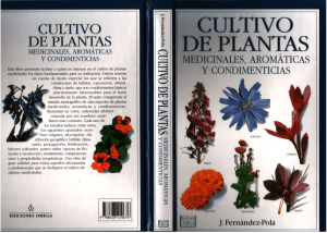 Cultivos Plantas Medicinales