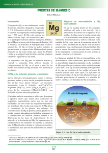 Fuentes de Magnesio para uso agrícola
