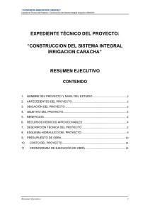 1.- Anexo - RESUMEN EJECUTIVO EXP. TEC. CARACHA