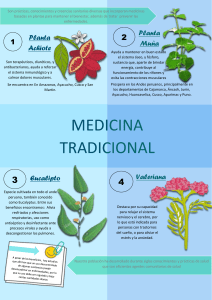 INFOGRAFIA medicina tradicional.word