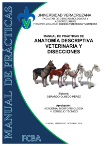 2-Manual-de-practicas-de-anatomia-sistemica-descriptiva-veterinaria