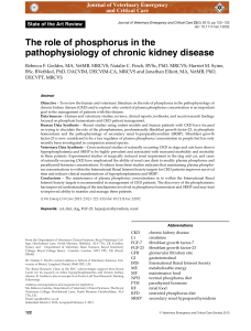 Geddes et al., 2013. Role of phosphorus in the pathophysiology of chronic kidney disease