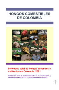 HONGOS COMESTIBLES DE COLOMBIA