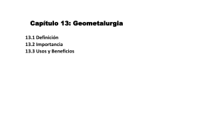 Capitulo 13 Geometalurgia