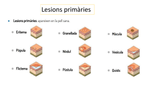 Lesions de la pell